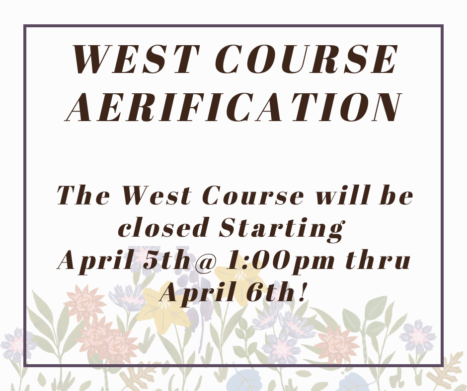 Colorful Painted Flora Facebook Post (1)